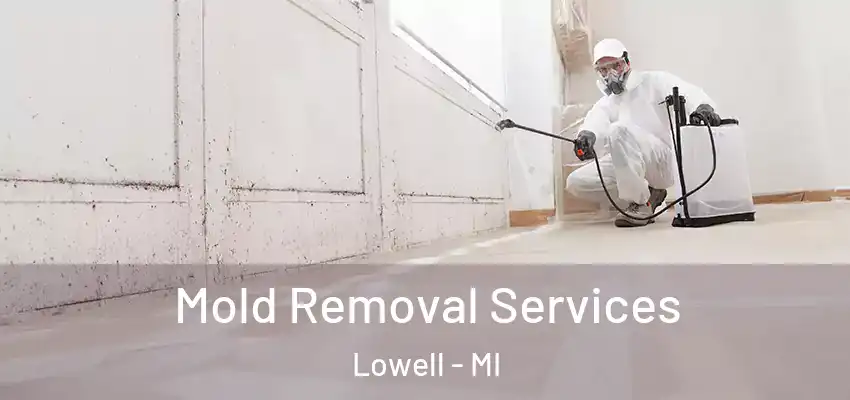 Mold Removal Services Lowell - MI