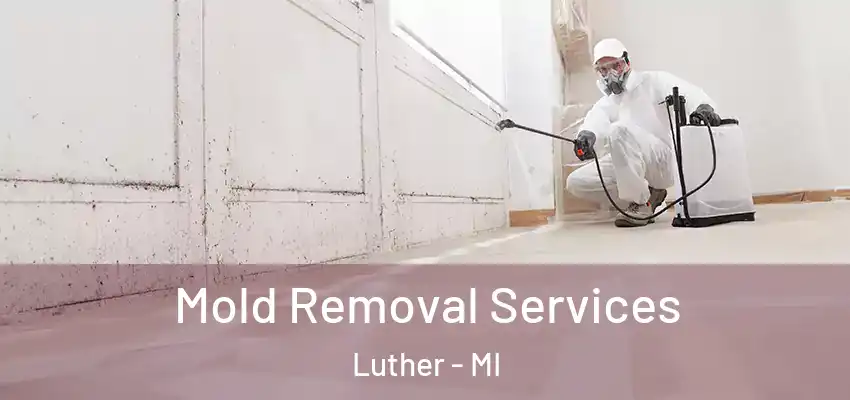  Mold Removal Services Luther - MI