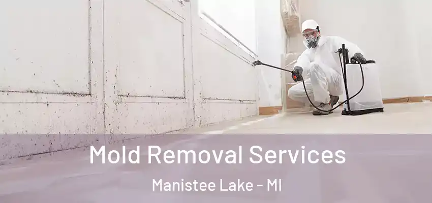  Mold Removal Services Manistee Lake - MI