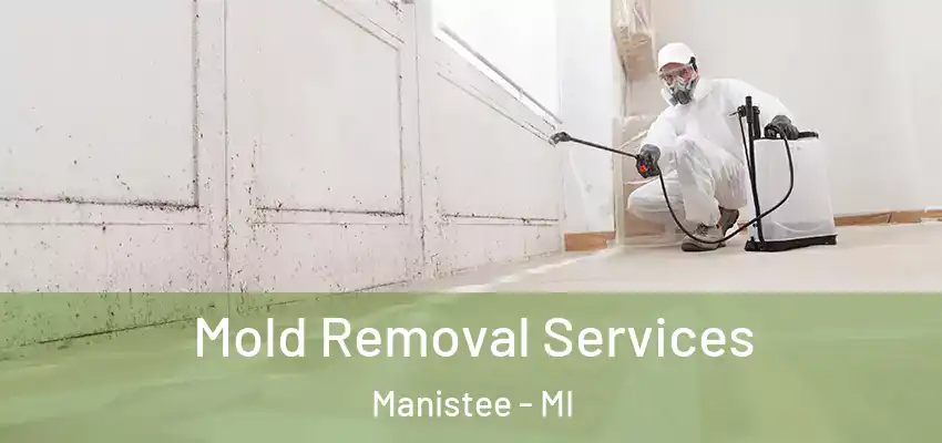 Mold Removal Services Manistee - MI