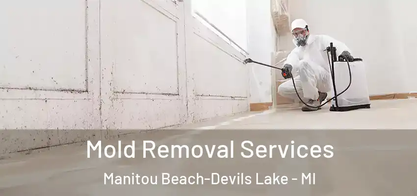  Mold Removal Services Manitou Beach-Devils Lake - MI