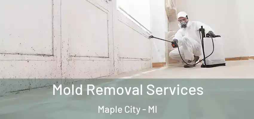 Mold Removal Services Maple City - MI