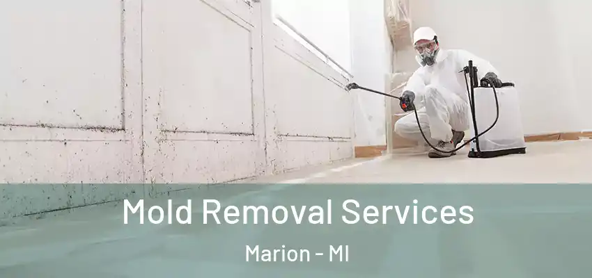 Mold Removal Services Marion - MI