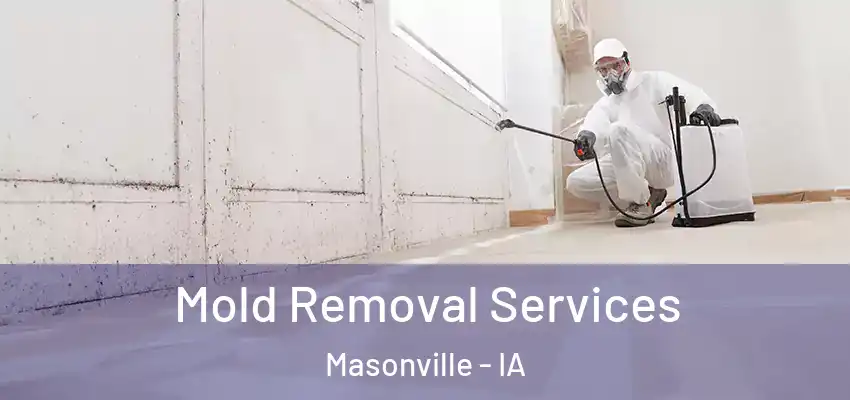  Mold Removal Services Masonville - IA