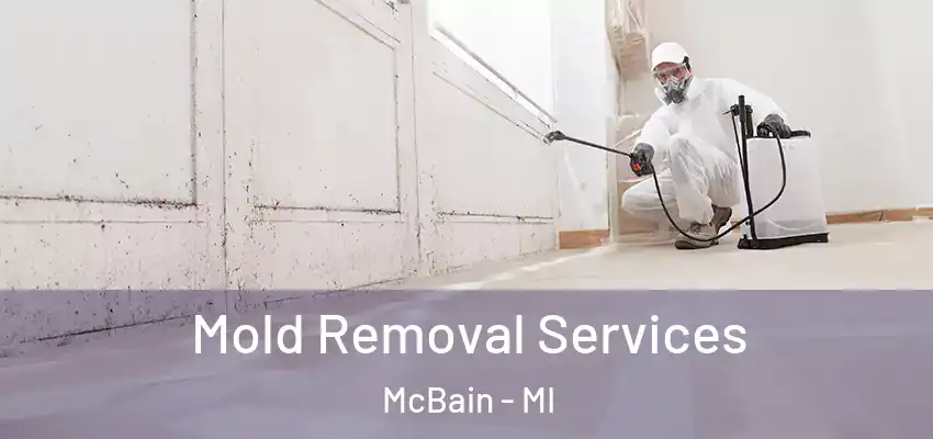 Mold Removal Services McBain - MI