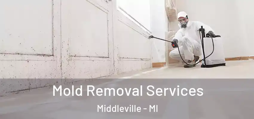 Mold Removal Services Middleville - MI