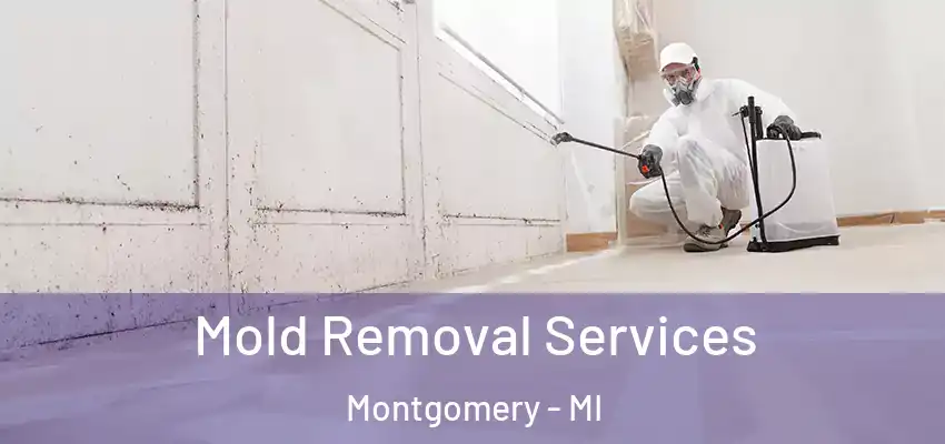 Mold Removal Services Montgomery - MI