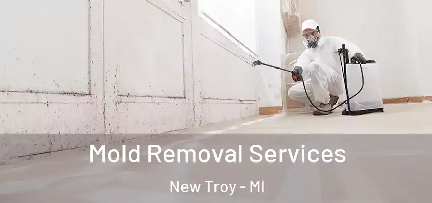  Mold Removal Services New Troy - MI