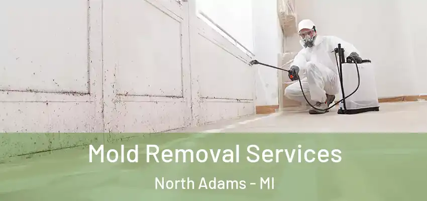  Mold Removal Services North Adams - MI