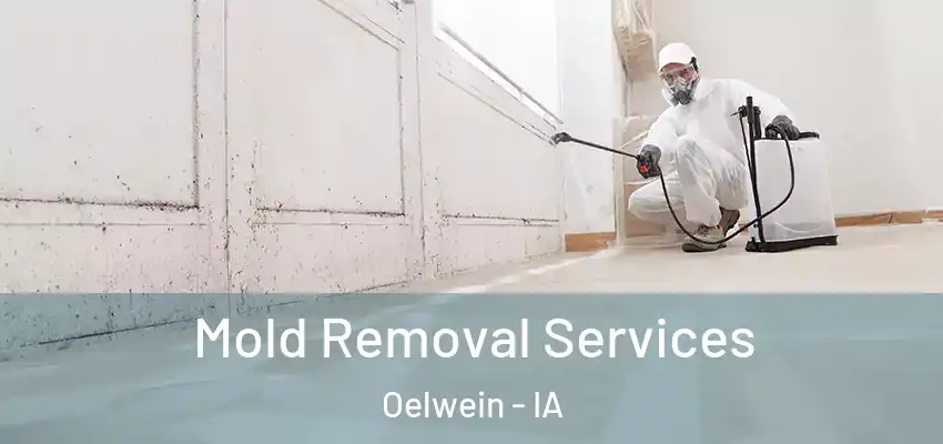  Mold Removal Services Oelwein - IA