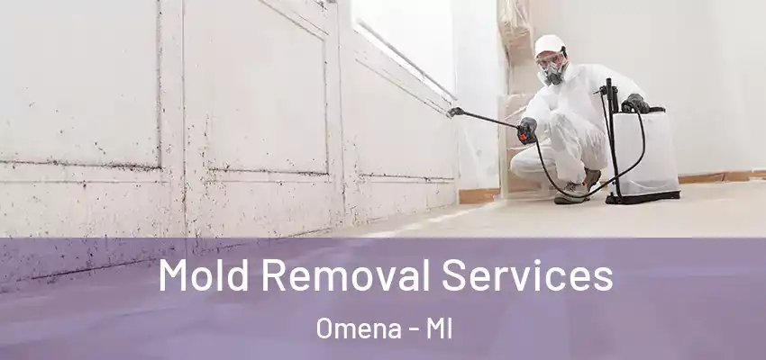  Mold Removal Services Omena - MI