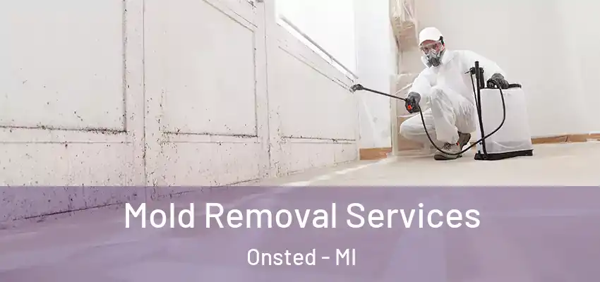 Mold Removal Services Onsted - MI