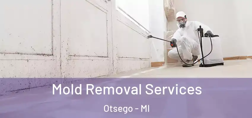  Mold Removal Services Otsego - MI