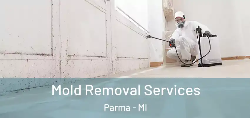  Mold Removal Services Parma - MI