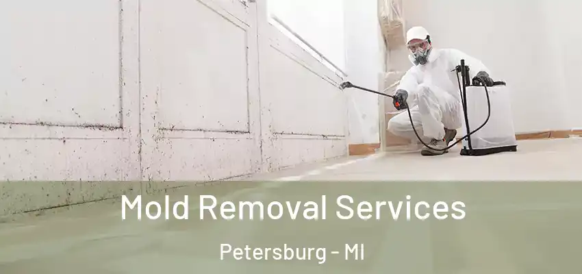 Mold Removal Services Petersburg - MI