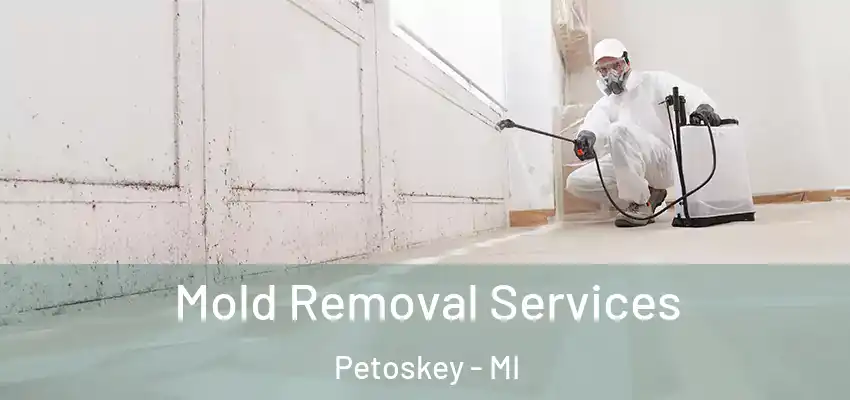 Mold Removal Services Petoskey - MI