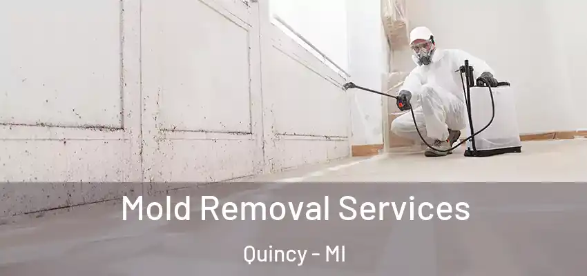 Mold Removal Services Quincy - MI