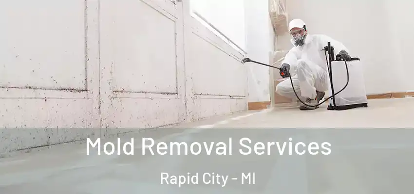  Mold Removal Services Rapid City - MI