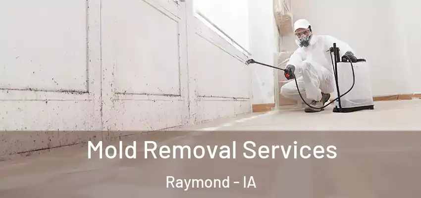  Mold Removal Services Raymond - IA
