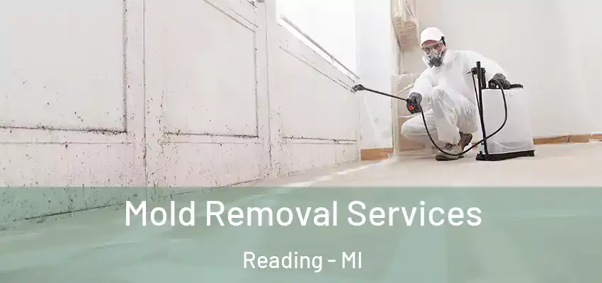  Mold Removal Services Reading - MI