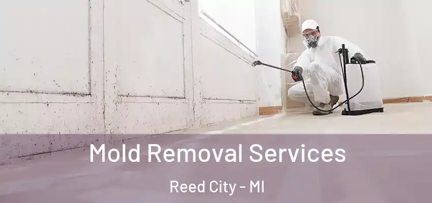  Mold Removal Services Reed City - MI