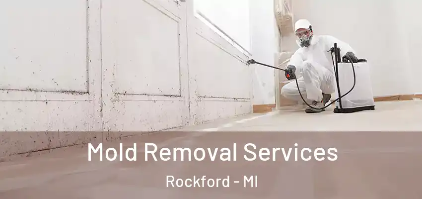  Mold Removal Services Rockford - MI