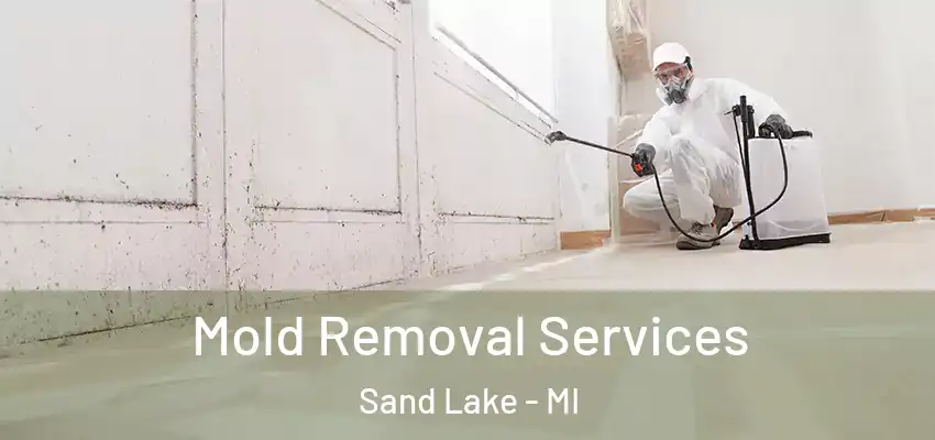  Mold Removal Services Sand Lake - MI