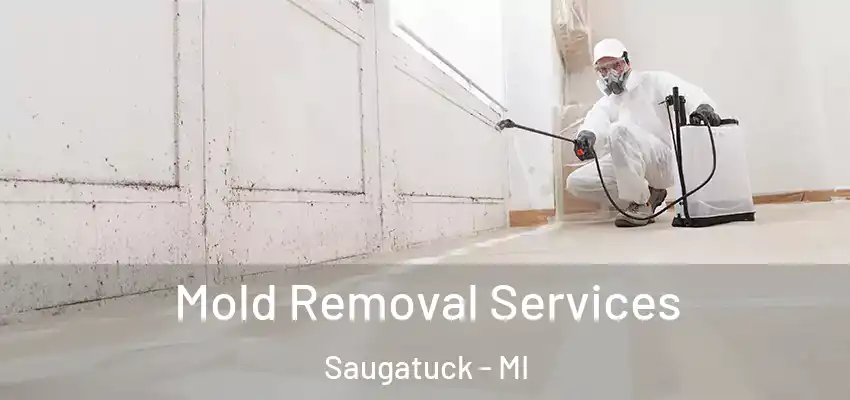 Mold Removal Services Saugatuck - MI