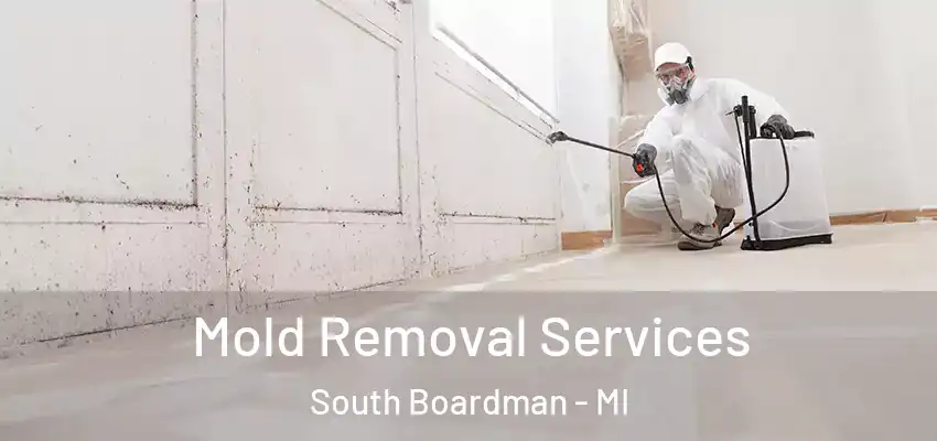Mold Removal Services South Boardman - MI