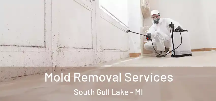  Mold Removal Services South Gull Lake - MI