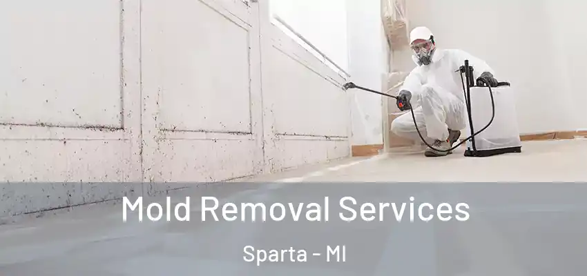 Mold Removal Services Sparta - MI