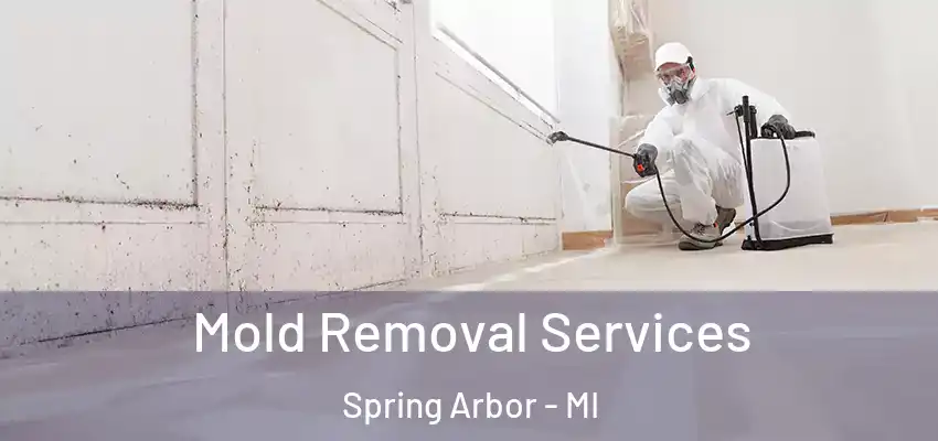  Mold Removal Services Spring Arbor - MI