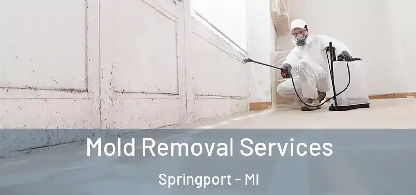 Mold Removal Services Springport - MI
