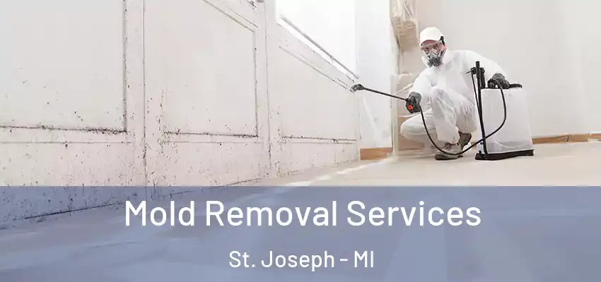  Mold Removal Services St. Joseph - MI