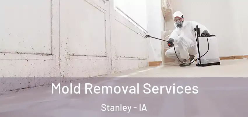  Mold Removal Services Stanley - IA