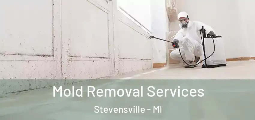 Mold Removal Services Stevensville - MI