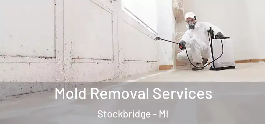  Mold Removal Services Stockbridge - MI