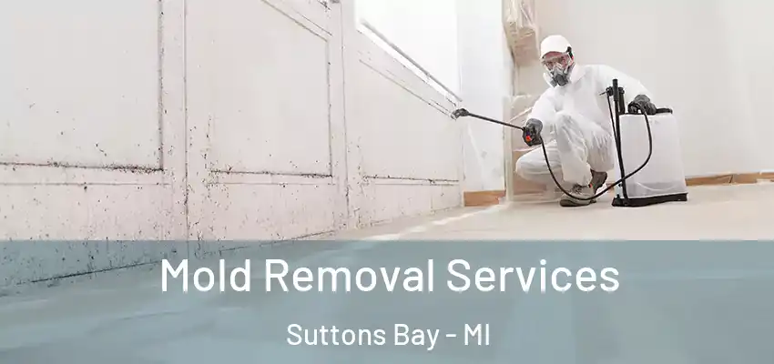 Mold Removal Services Suttons Bay - MI