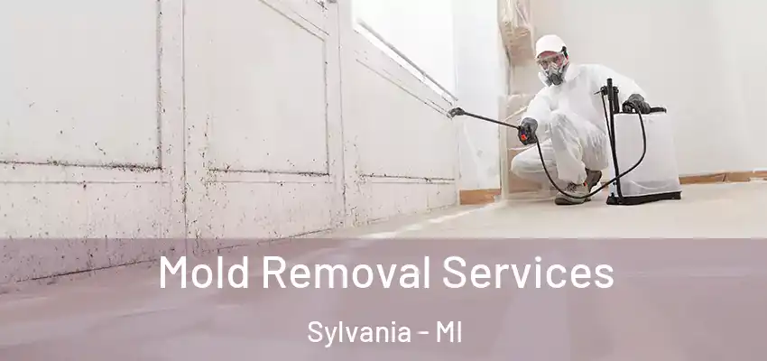 Mold Removal Services Sylvania - MI