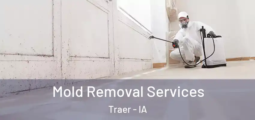  Mold Removal Services Traer - IA
