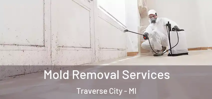  Mold Removal Services Traverse City - MI