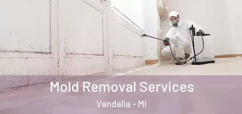  Mold Removal Services Vandalia - MI
