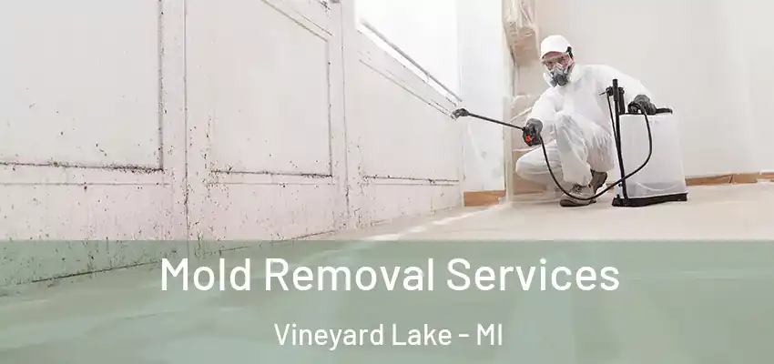  Mold Removal Services Vineyard Lake - MI