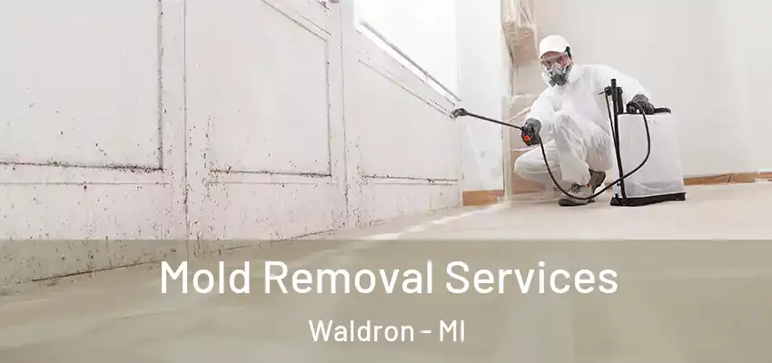 Mold Removal Services Waldron - MI