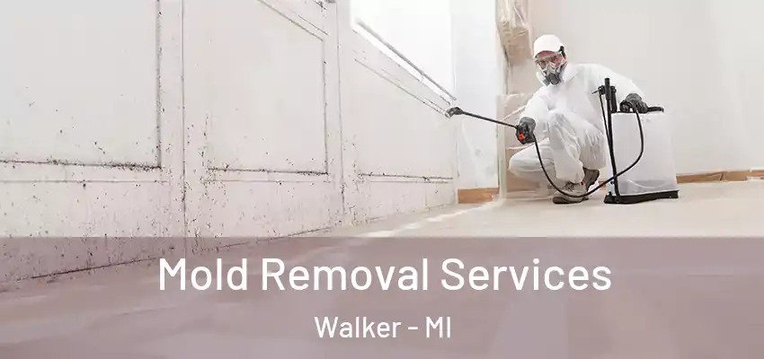  Mold Removal Services Walker - MI