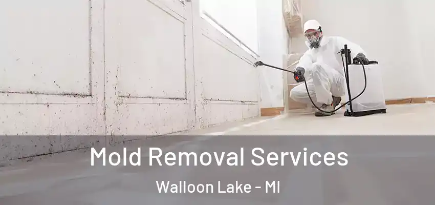 Mold Removal Services Walloon Lake - MI