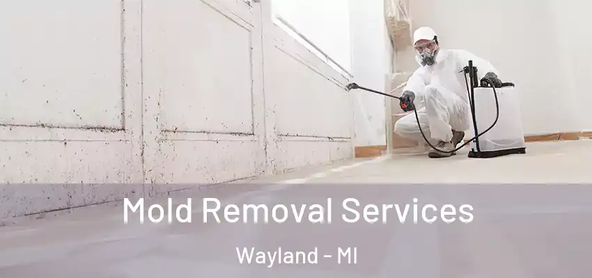  Mold Removal Services Wayland - MI