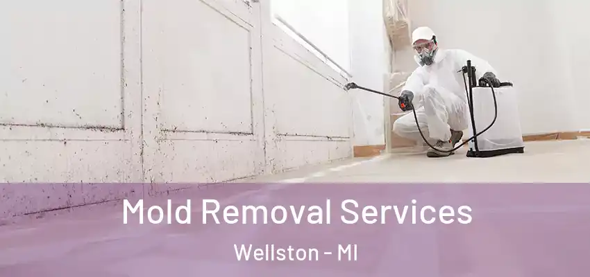 Mold Removal Services Wellston - MI