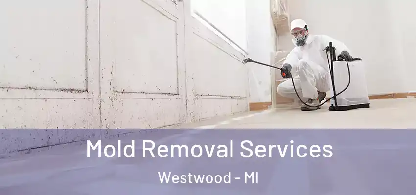  Mold Removal Services Westwood - MI