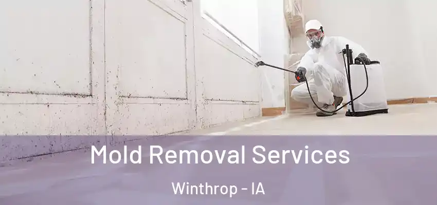  Mold Removal Services Winthrop - IA